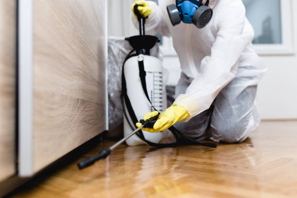 Best Exterminator Services  in Savannah, MO