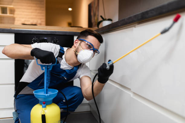 Best Flea Control Services  in Savannah, MO