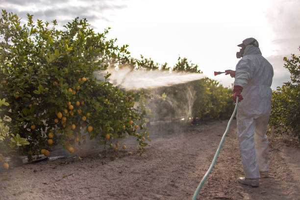 Best Pest Removal Services  in Savannah, MO